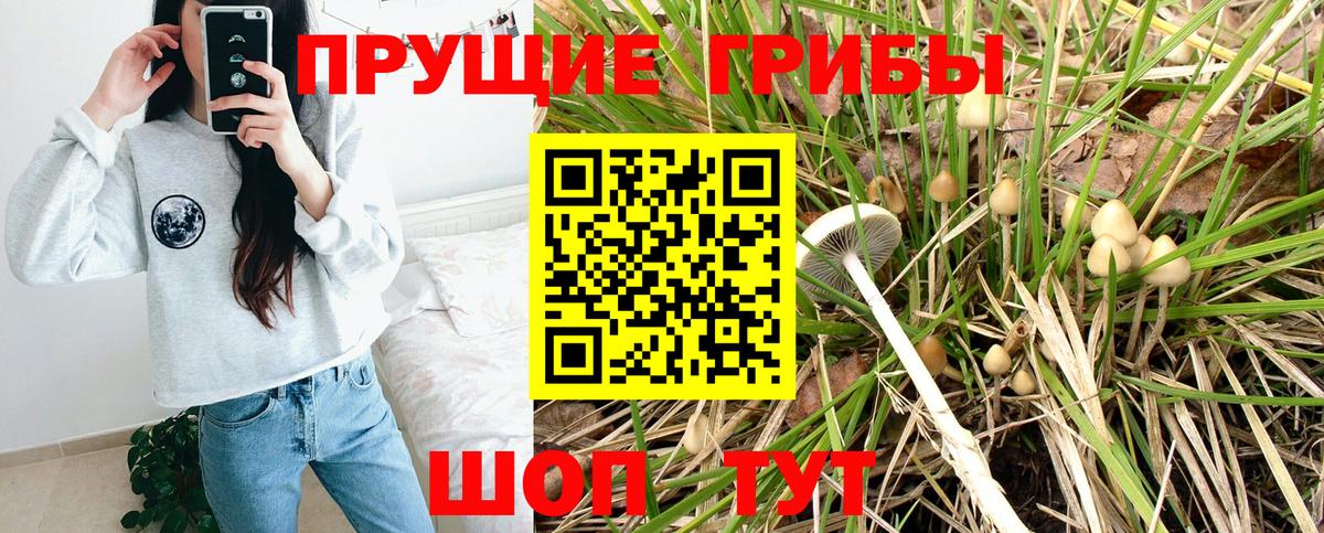 Псилоцибиновые грибы мухоморы Брянск