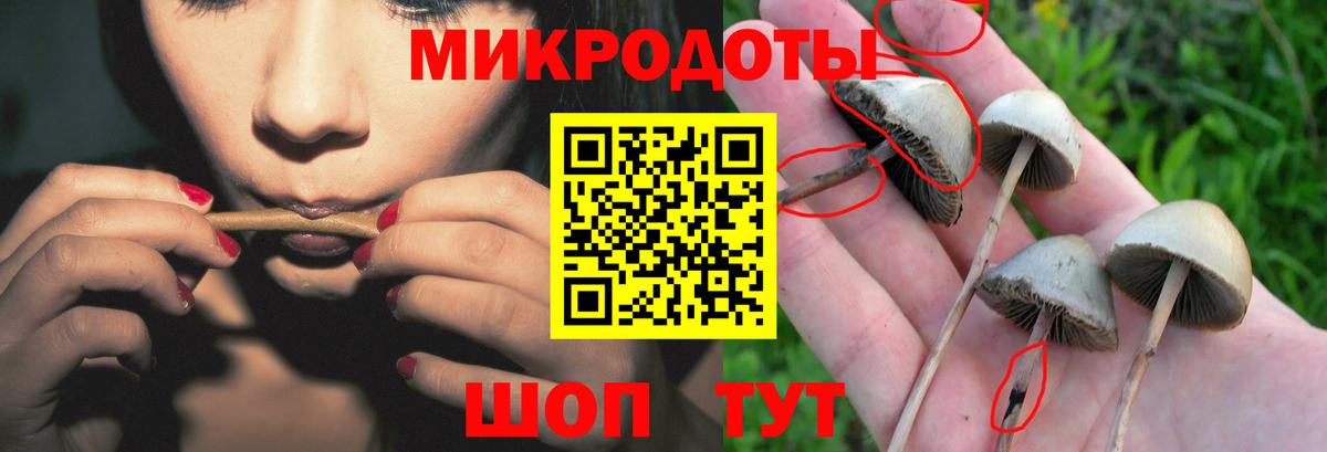 Галлюциногенные грибы Psilocybine cubensis  Вход с VPN  Брянск  Галлюциногенные грибы MAGIC MUSHROOMS 
